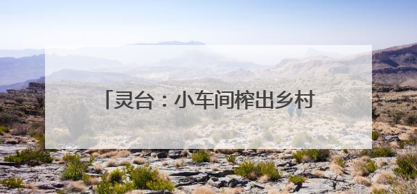 灵台：小车间榨出乡村全面振兴“幸福油”