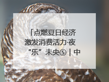 点燃夏日经济 激发消费活力·夜“乐”未央⑤｜中骏商圈：烟火与潮流共舞