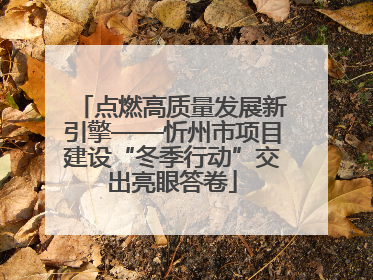 点燃高质量发展新引擎——忻州市项目建设“冬季行动”交出亮眼答卷