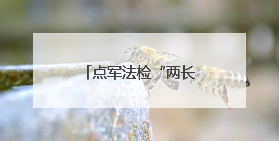 点军法检“两长”同庭履职，共筑民生安全防线