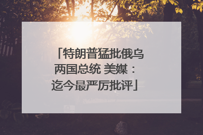 特朗普猛批俄乌两国总统 美媒：迄今最严厉批评