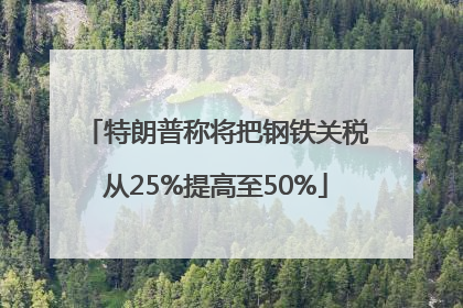 特朗普称将把钢铁关税从25%提高至50%
