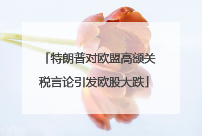 特朗普对欧盟高额关税言论引发欧股大跌