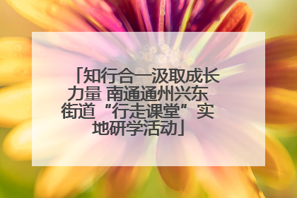 知行合一汲取成长力量 南通通州兴东街道“行走课堂”实地研学活动