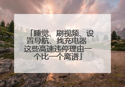 睡觉、刷视频、设置导航、找充电器 这些高速违停理由一个比一个离谱