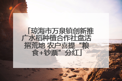 琼海市万泉镇创新推广水稻种植合作社盘活撂荒地 农户喜提“粮食+钞票”分红