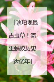 琥珀现最古虫草！寄生蚂蚁历史达亿年