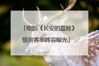 电影《长安的荔枝》惊喜客串阵容曝光
