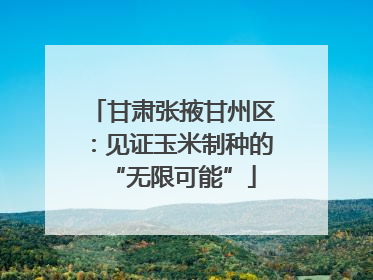 甘肃张掖甘州区：见证玉米制种的“无限可能”