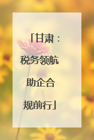 甘肃：税务领航 助企合规前行