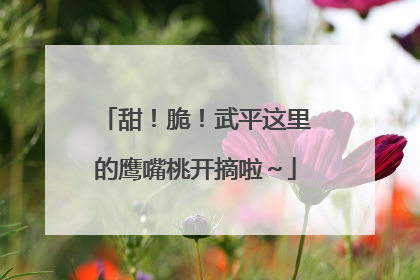 甜！脆！武平这里的鹰嘴桃开摘啦～