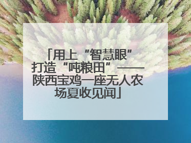 用上“智慧眼” 打造“吨粮田”——陕西宝鸡一座无人农场夏收见闻