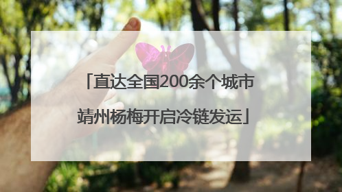 直达全国200余个城市 靖州杨梅开启冷链发运