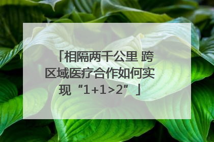 相隔两千公里 跨区域医疗合作如何实现“1+1>2”