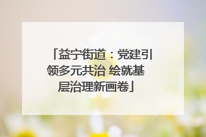 益宁街道：党建引领多元共治 绘就基层治理新画卷