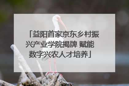 益阳首家京东乡村振兴产业学院揭牌 赋能数字兴农人才培养