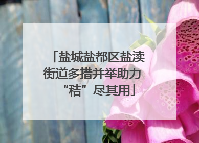 盐城盐都区盐渎街道多措并举助力“秸”尽其用