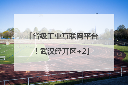 省级工业互联网平台！武汉经开区+2