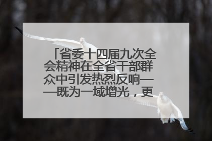 省委十四届九次全会精神在全省干部群众中引发热烈反响——既为一域增光，更为全局添彩