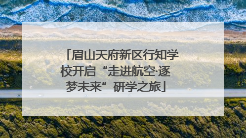 眉山天府新区行知学校开启“走进航空·逐梦未来”研学之旅