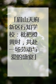 眉山天府新区行知学校：枇杷橙黄时，共赴一场劳动与爱的盛宴