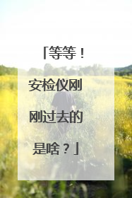 等等！安检仪刚刚过去的是啥？