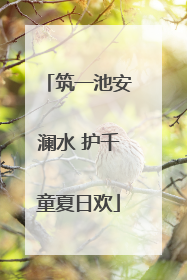 筑一池安澜水 护千童夏日欢