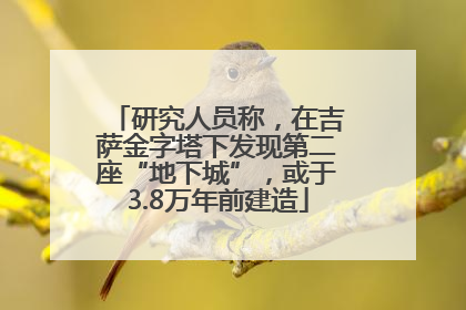 研究人员称，在吉萨金字塔下发现第二座“地下城”，或于3.8万年前建造