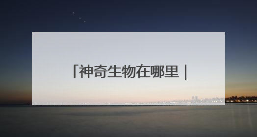 神奇生物在哪里｜比大熊猫更稀少！湖南新宁成功救护濒危鸟类海南鳽