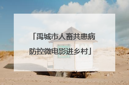 禹城市人畜共患病防控微电影进乡村