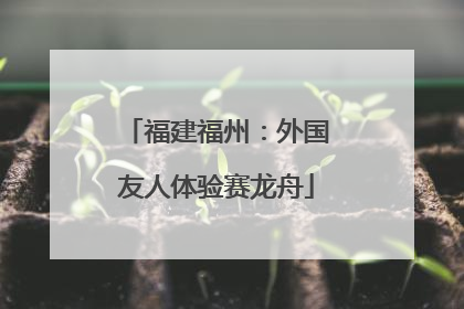 福建福州：外国友人体验赛龙舟