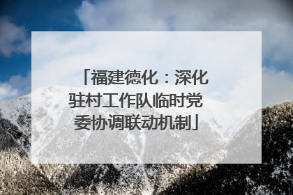 福建德化：深化驻村工作队临时党委协调联动机制