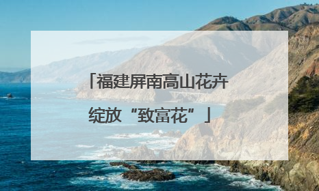福建屏南高山花卉绽放“致富花”