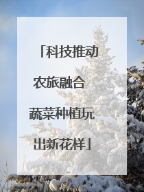 科技推动农旅融合 蔬菜种植玩出新花样