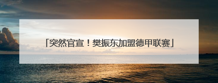 突然官宣！樊振东加盟德甲联赛