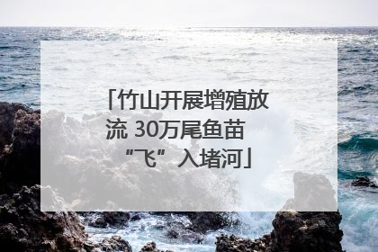 竹山开展增殖放流 30万尾鱼苗“飞”入堵河