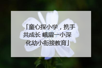 童心探小学，携手共成长 峨眉一小深化幼小衔接教育