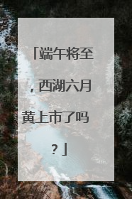 端午将至，西湖六月黄上市了吗？