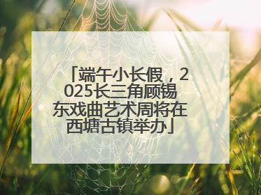 端午小长假，2025长三角顾锡东戏曲艺术周将在西塘古镇举办