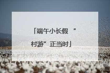 端午小长假 “村游”正当时