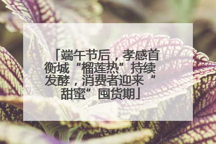 端午节后，孝感首衡城“榴莲热”持续发酵，消费者迎来“甜蜜”囤货期