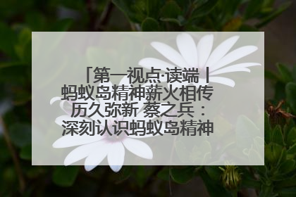 第一视点·读端丨蚂蚁岛精神薪火相传历久弥新 蔡之兵：深刻认识蚂蚁岛精神的“精气神”