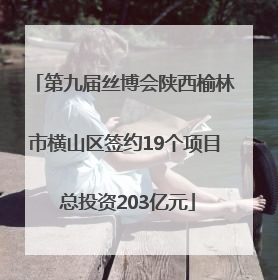 第九届丝博会陕西榆林市横山区签约19个项目 总投资203亿元