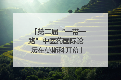 第二届“一带一路”中医药国际论坛在莫斯科开幕