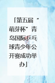 第五届“萌芽杯”青岛国际乒乓球青少年公开赛成功举办