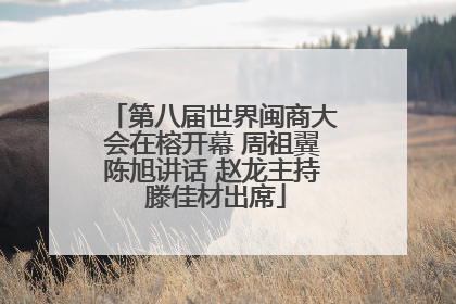 第八届世界闽商大会在榕开幕 周祖翼陈旭讲话 赵龙主持 滕佳材出席