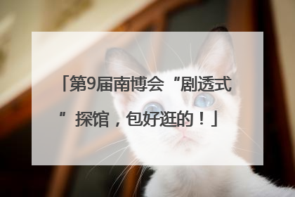 第9届南博会“剧透式”探馆，包好逛的！