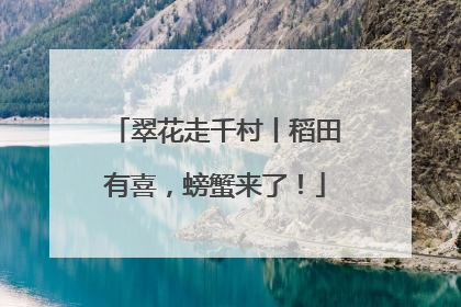 翠花走千村丨稻田有喜，螃蟹来了！