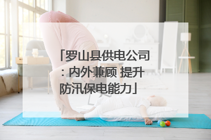 罗山县供电公司：内外兼顾 提升防汛保电能力