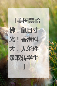 美国禁哈佛，鼠目寸光！香港科大：无条件录取转学生